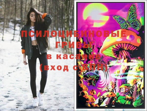 МДПВ Алексеевка