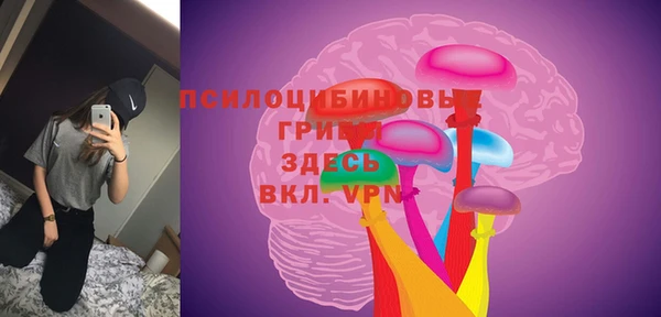 МДПВ Алексеевка