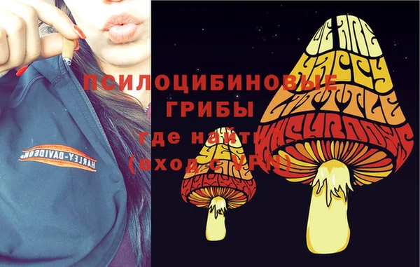 МДПВ Алексеевка