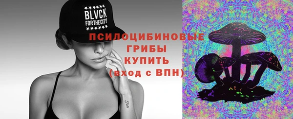 спайс Алексин