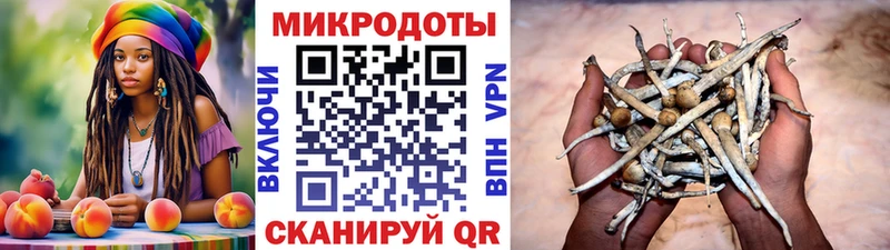 даркнет сайт  Заводоуковск  Псилоцибиновые грибы прущие грибы 