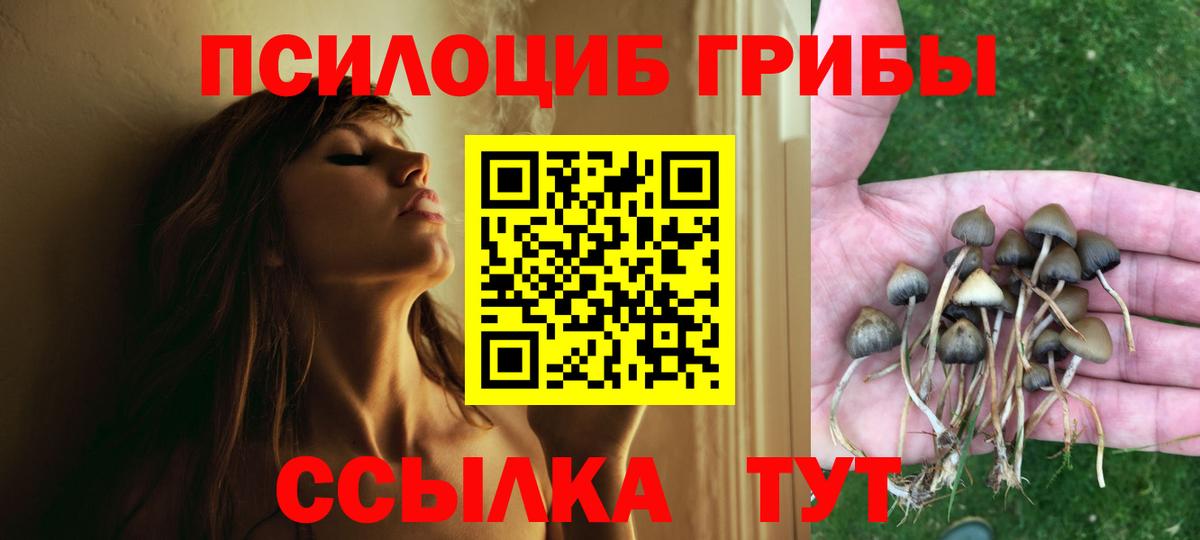 Заводоуковск  Псилоцибиновые грибы прущие грибы  Вход с VPN 