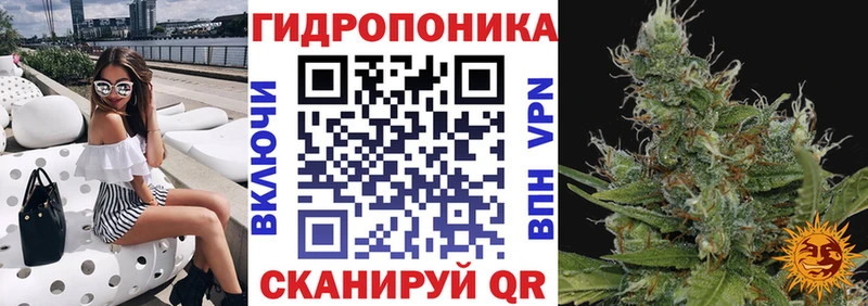 Конопля конопля  Заводоуковск 